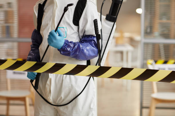 Professional Hoarding Cleanup technician working in Somerville, MA