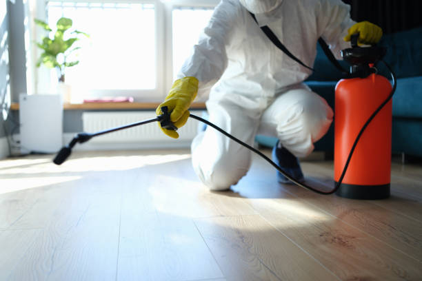 Reliable Hoarding Cleanup contractor in Somerville, MA by Dulley Family Biohazard Services